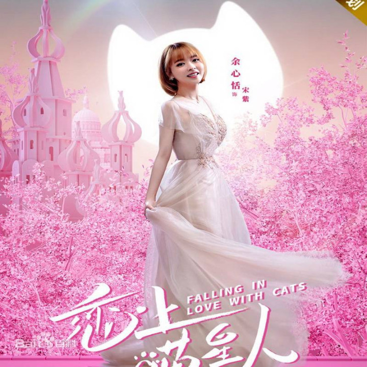 عاشق گربه ها شدم Falling in Love With Cats