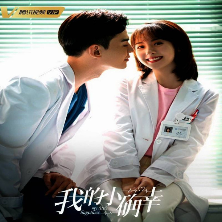 شادی کوچک من My Little Happiness