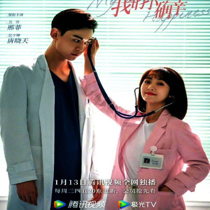 شادی کوچک من My Little Happiness