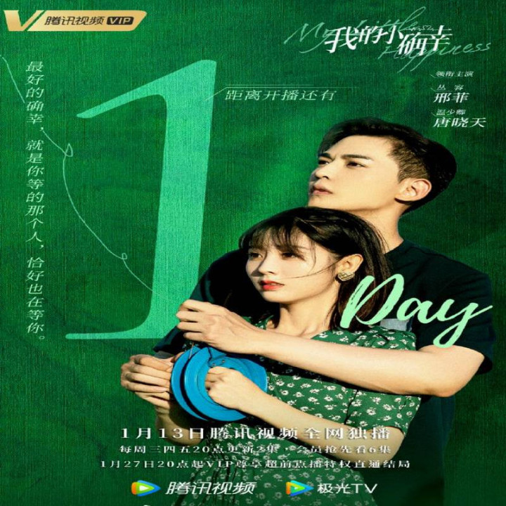 شادی کوچک من My Little Happiness