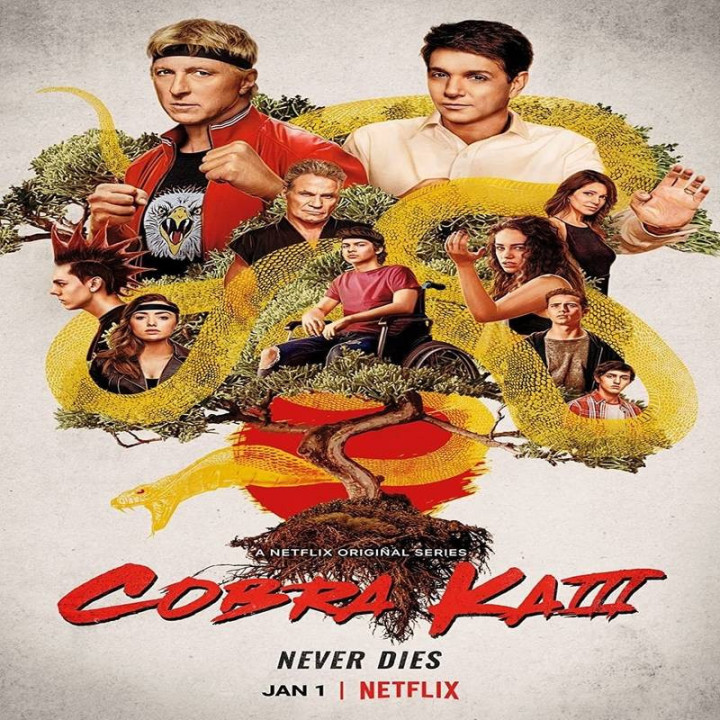 کبرا کای (3 فصل کامل) Cobra Kai