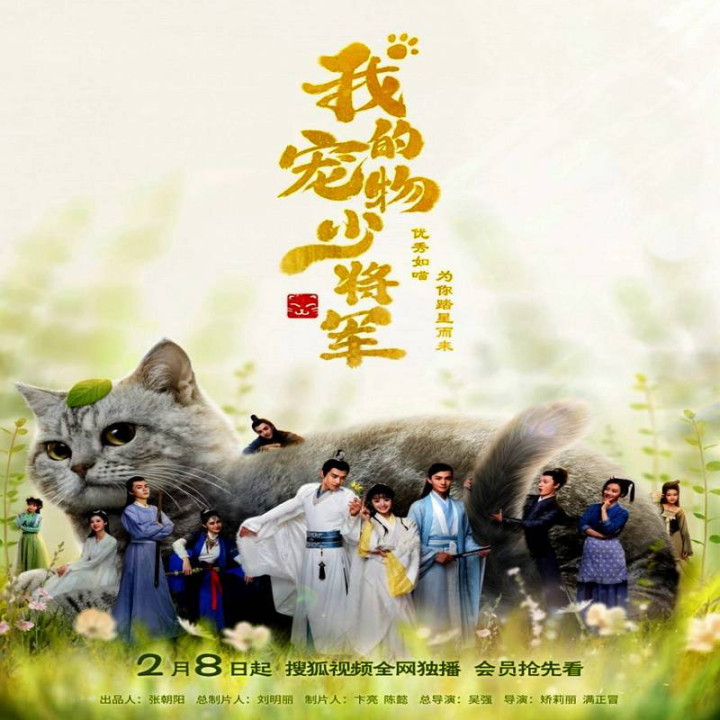 گربه من باش Be My Cat