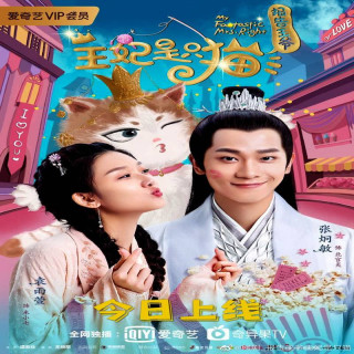 خانم رایت فوق العاده من My Fantastic Mrs Right