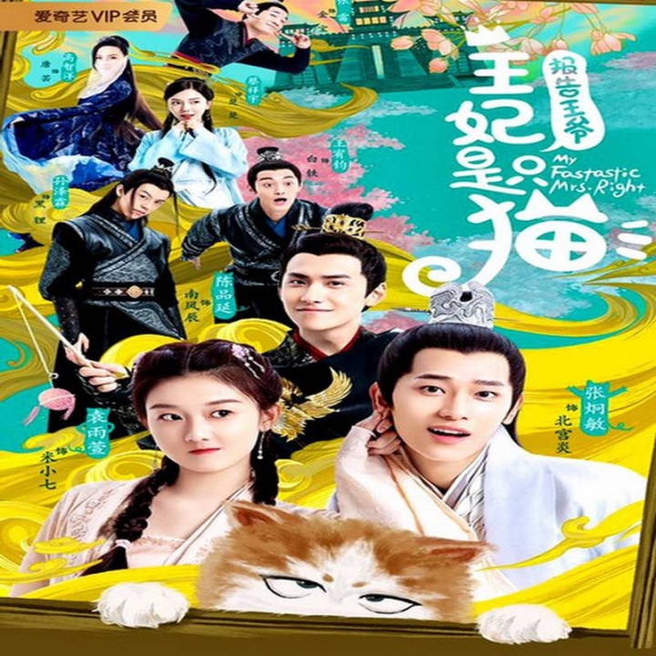 خانم رایت فوق العاده من My Fantastic Mrs Right