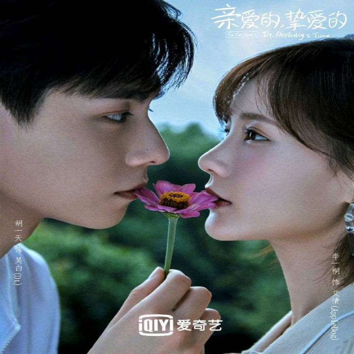 برو برو ماهی مرکب 2 Go Go Squid 2