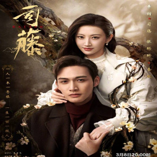 چوب خیزران Rattan