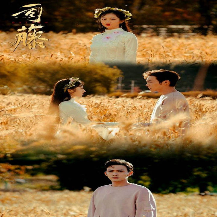 چوب خیزران Rattan