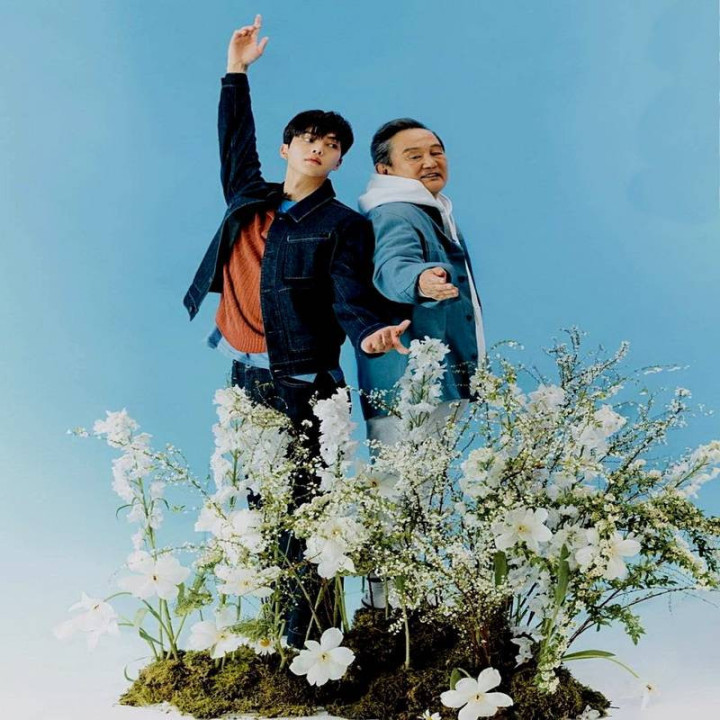 همچو پروانه Navillera