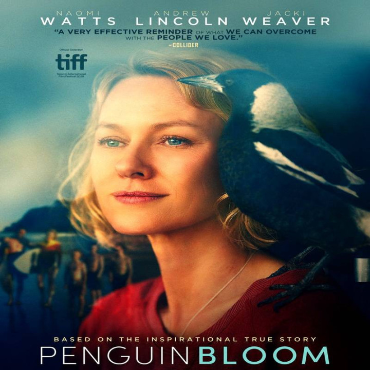 شکوفایی پنگوئن Penguin Bloom