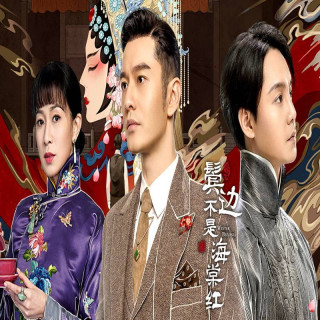 بگونیای زمستانی Winter Begonia