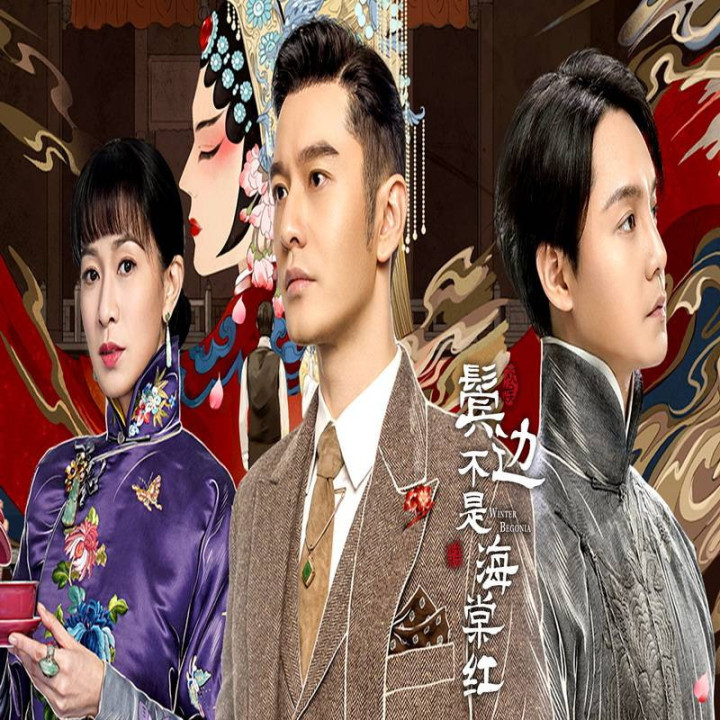 بگونیای زمستانی Winter Begonia