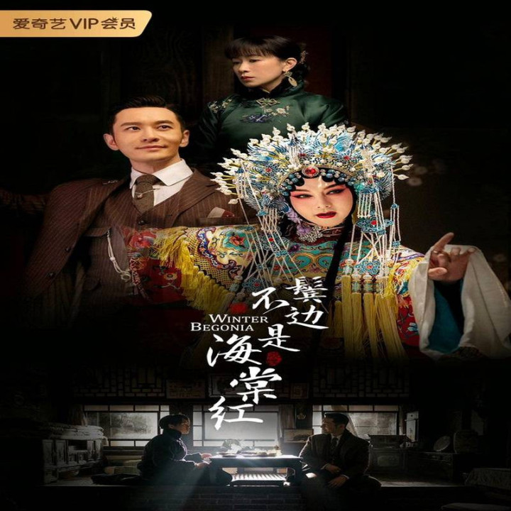 بگونیای زمستانی Winter Begonia