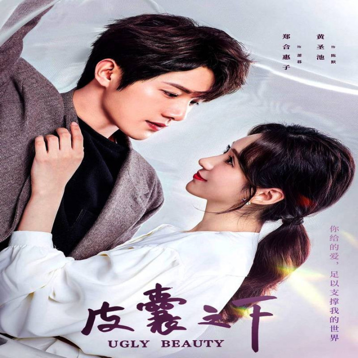 زیبای زشت Ugly Beauty