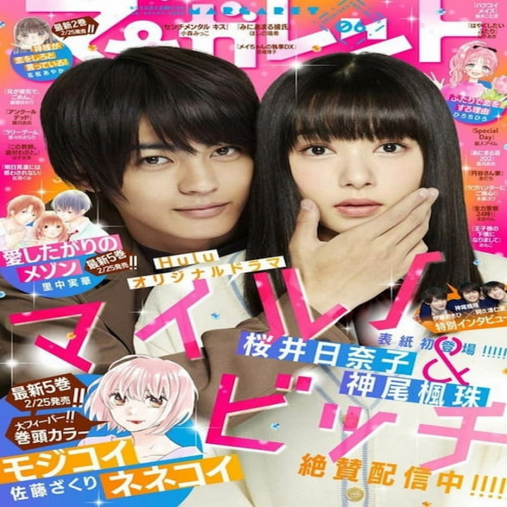 مایرو عوضی Mairunovich