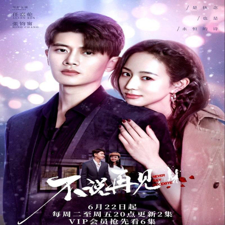 هیچ وقت نگو خداحافظ Never Say Goodbye