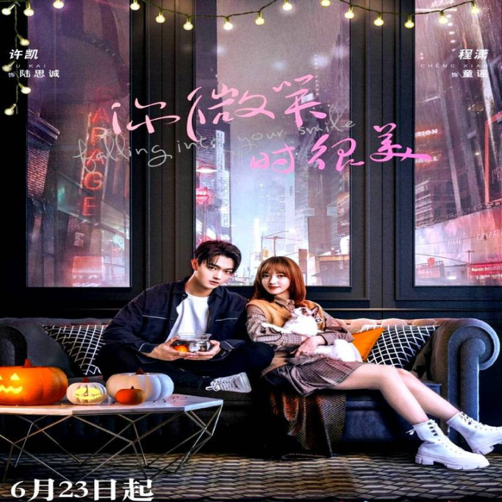 عاشق لبخندت شدم Falling Into Your Smile