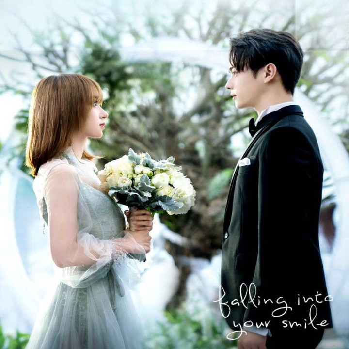 عاشق لبخندت شدم Falling Into Your Smile