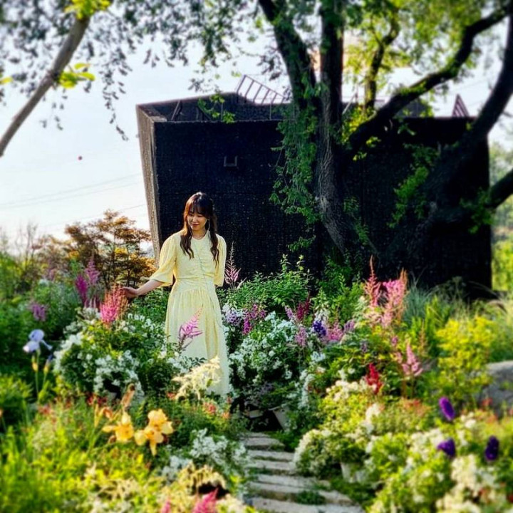 تو بهار منی You Are My Spring