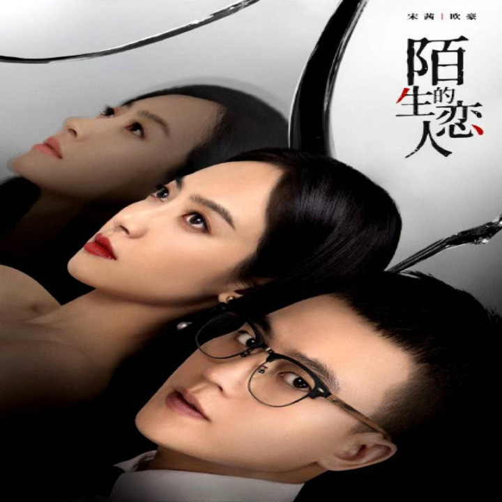 عاشق یا غریبه Lover or Stranger