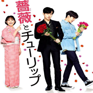 گل رز و لاله A Rose and a Tulip