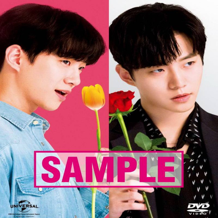 گل رز و لاله A Rose and a Tulip