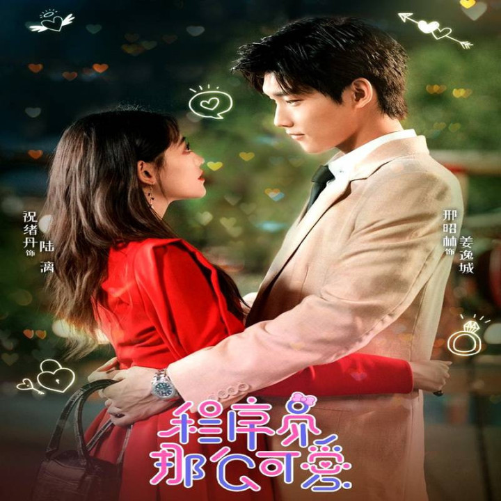 برنامه نویس بامزه Cute Programmer