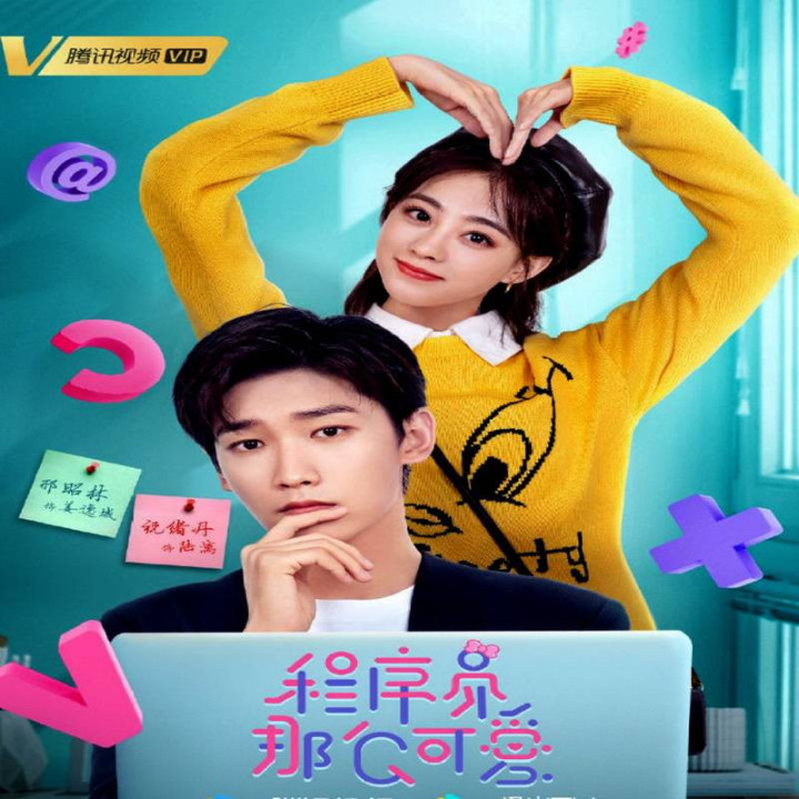 برنامه نویس بامزه Cute Programmer