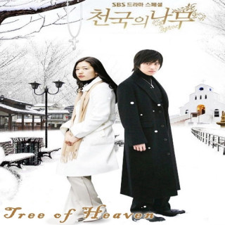 درخت بهشتی Tree of Heaven