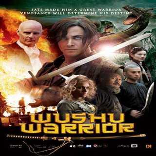 جنگجوی ووشو Wushu Warrior