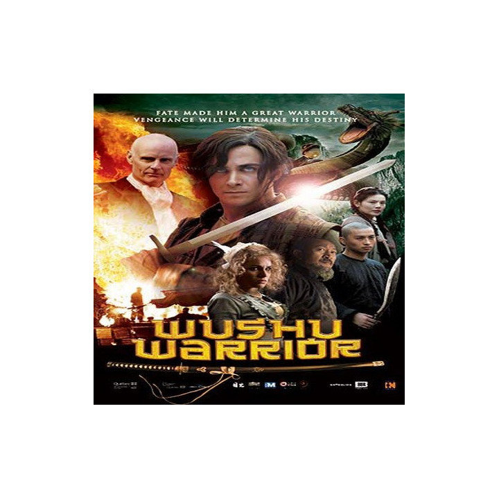 جنگجوی ووشو Wushu Warrior