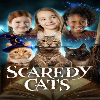 گربه های ترسناک (فصل اول) Scaredy Cats