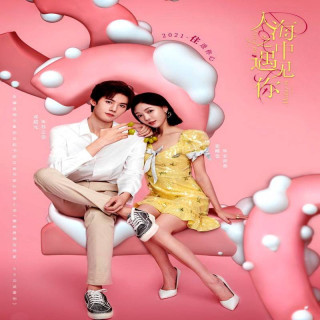 دیدار عاشقانه Meeting You Loving You