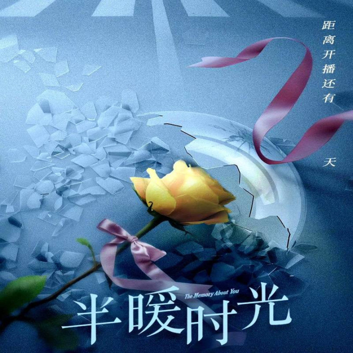 خاطره ای درباره تو،  The Memory About You