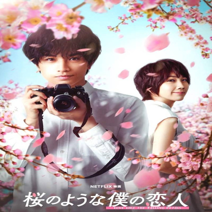 عشقی چون گلبرگ‌ های ریزان،  Love Like the Falling Petals