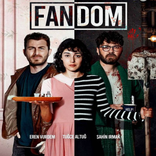 فندوم ، Fandom