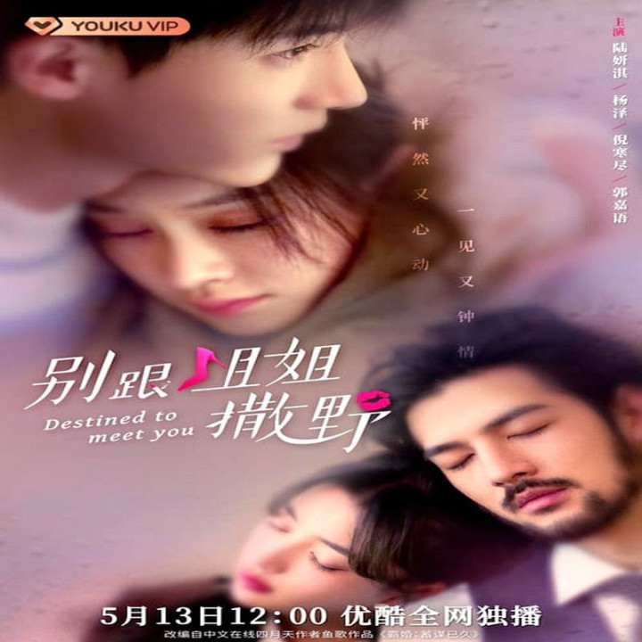 ملاقات از پیش تعیین شده Destined to Meet You