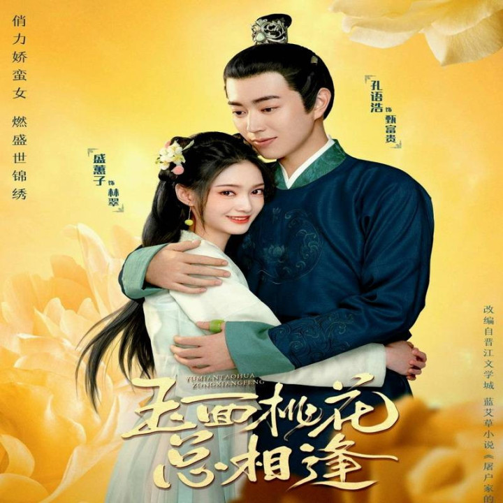 بانوی قصاب خانه The Lady in Butcher is House