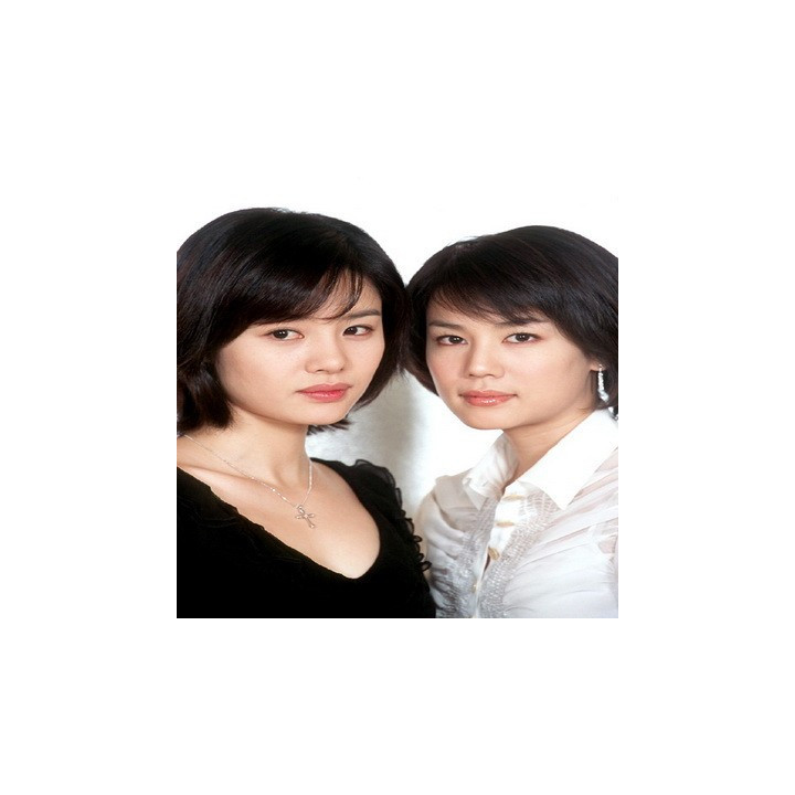 کفش های بلوری Glass Slippers