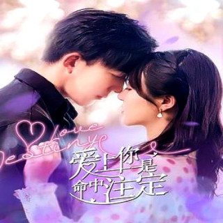 عاشق سرنوشت،  Love Destiny