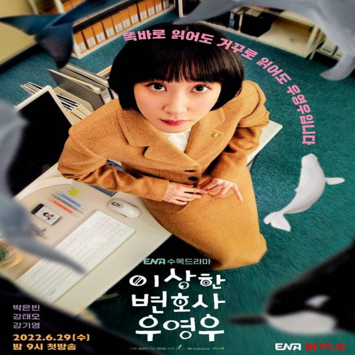 وکیل ووی خارق العاده ، Extraordinary Attorney Woo