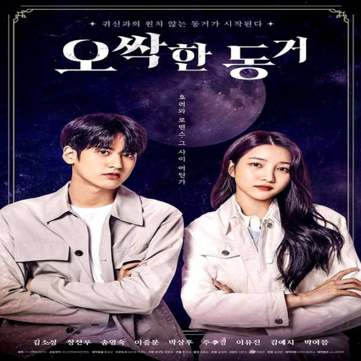 هم اتاقی ترسناک من My Chilling Roommate