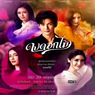 گل های وحشی،گل جنگل ،  Dong Dok Mai