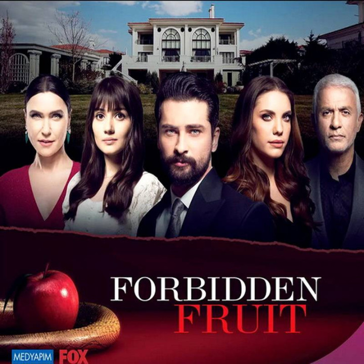 سیب ممنوعه Yasak Elma