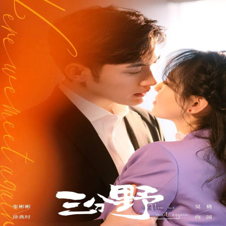 باز دوباره همدیگر رو ملاقات کردیم Here We Meet Again