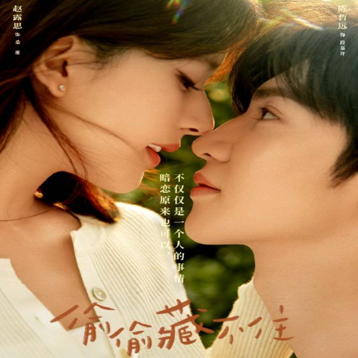 عشق مخفی Hidden Love 2023