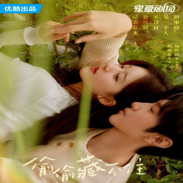 عشق مخفی Hidden Love 2023