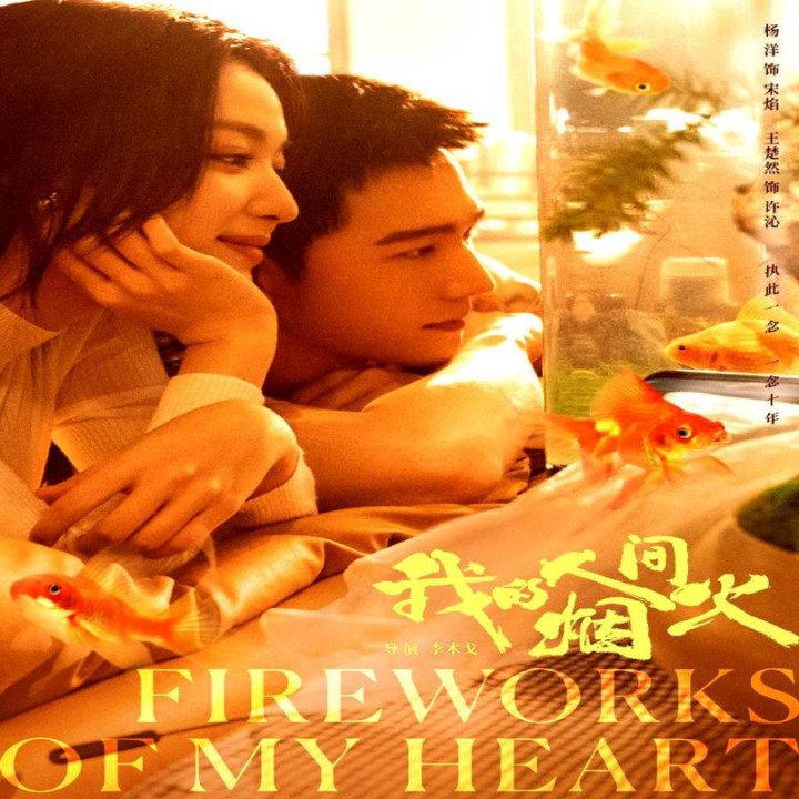 آتش بازی قلبم،  Fireworks of My Heart