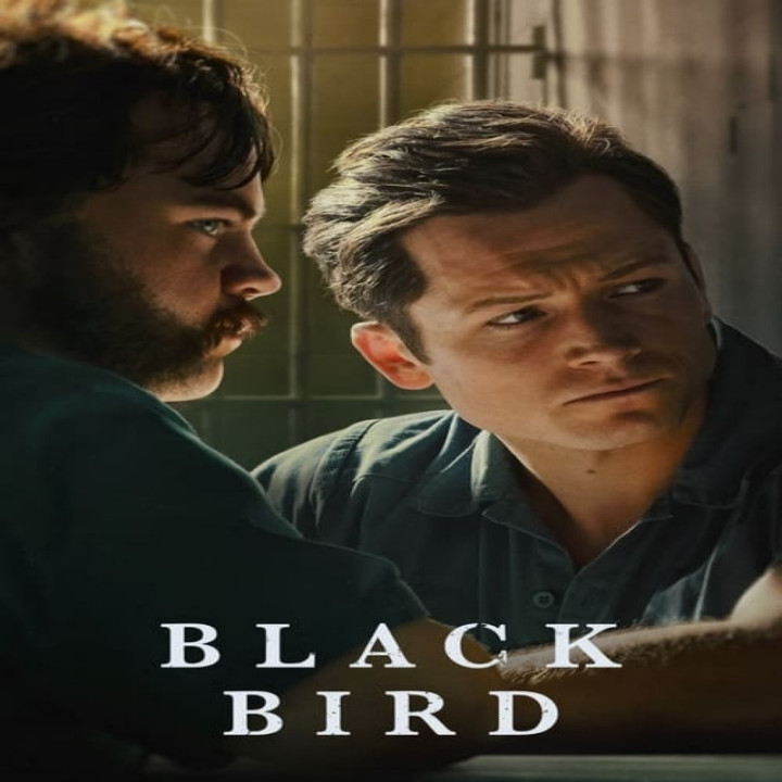 پرنده سیاه Black Bird