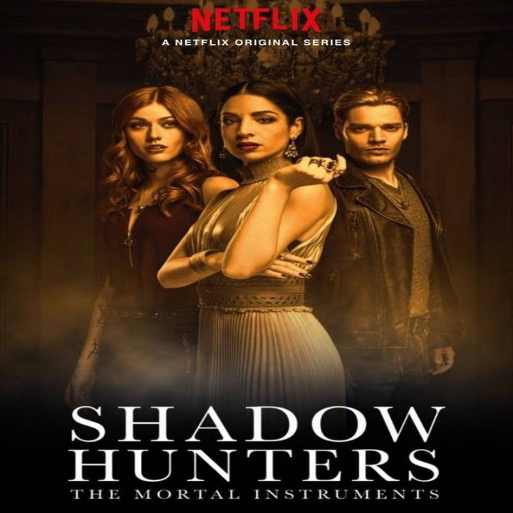 شکارچیان سایه Shadowhunters
