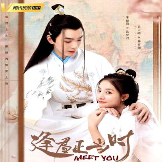 دیدار با شما Meet You